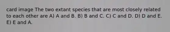 card image The two extant species that are most closely related to each other are A) A and B. B) B and C. C) C and D. D) D and E. E) E and A.