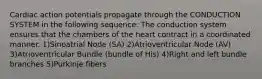 Cardiac action potentials propagate through the CONDUCTION SYSTEM in the following sequence: The conduction system ensures that the chambers of the heart contract in a coordinated manner. 1)Sinoatrial Node (SA) 2)Atrioventricular Node (AV) 3)Atrioventricular Bundle (bundle of His) 4)Right and left bundle branches 5)Purkinje fibers