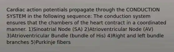 Cardiac action potentials propagate through the CONDUCTION SYSTEM in the following sequence: The conduction system ensures that the chambers of the heart contract in a coordinated manner. 1)Sinoatrial Node (SA) 2)Atrioventricular Node (AV) 3)Atrioventricular Bundle (bundle of His) 4)Right and left bundle branches 5)Purkinje fibers