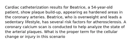 Cardiac catheterization results for Beatrice, a 54-year-old patient, show plaque build-up, appearing as hardened areas in the coronary arteries. Beatrice, who is overweight and leads a sedentary lifestyle, has several risk factors for atherosclerosis. A coronary calcium scan is conducted to help analyze the state of the arterial plaques. What is the proper term for the cellular change or injury in this scenario