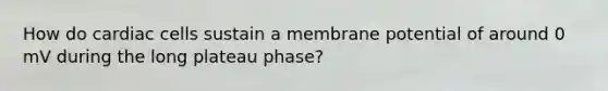 How do cardiac cells sustain a membrane potential of around 0 mV during the long plateau phase?