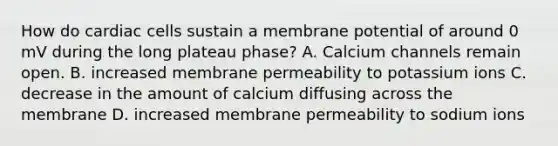 How do cardiac cells sustain a membrane potential of around 0 mV during the long plateau phase? A. Calcium channels remain open. B. increased membrane permeability to potassium ions C. decrease in the amount of calcium diffusing across the membrane D. increased membrane permeability to sodium ions