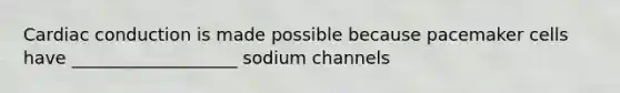 Cardiac conduction is made possible because pacemaker cells have ___________________ sodium channels