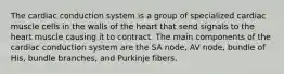 The cardiac conduction system is a group of specialized cardiac muscle cells in the walls of the heart that send signals to the heart muscle causing it to contract. The main components of the cardiac conduction system are the SA node, AV node, bundle of His, bundle branches, and Purkinje fibers.