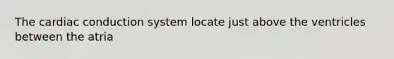 The cardiac conduction system locate just above the ventricles between the atria