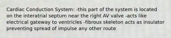 Cardiac Conduction System: -this part of the system is located on the interatrial septum near the right AV valve -acts like electrical gateway to ventricles -fibrous skeleton acts as insulator preventing spread of impulse any other route