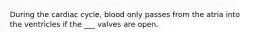 During the cardiac cycle, blood only passes from the atria into the ventricles if the ___ valves are open.