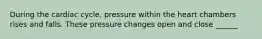 During the cardiac cycle, pressure within the heart chambers rises and falls. These pressure changes open and close ______