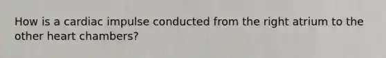 How is a cardiac impulse conducted from the right atrium to the other heart chambers?