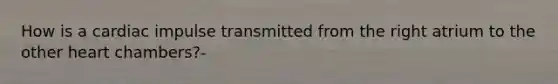 How is a cardiac impulse transmitted from the right atrium to the other heart chambers?-
