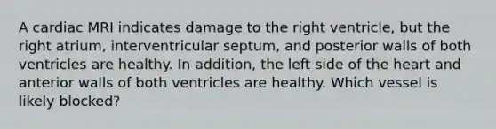 A cardiac MRI indicates damage to the right ventricle, but the right atrium, interventricular septum, and posterior walls of both ventricles are healthy. In addition, the left side of the heart and anterior walls of both ventricles are healthy. Which vessel is likely blocked?