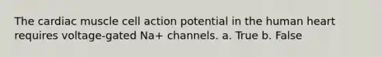 The cardiac muscle cell action potential in the human heart requires voltage-gated Na+ channels. a. True b. False