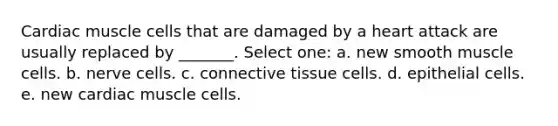 Cardiac muscle cells that are damaged by a heart attack are usually replaced by _______. Select one: a. new smooth muscle cells. b. nerve cells. c. connective tissue cells. d. epithelial cells. e. new cardiac muscle cells.