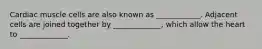 Cardiac muscle cells are also known as ____________. Adjacent cells are joined together by _____________, which allow the heart to _____________.