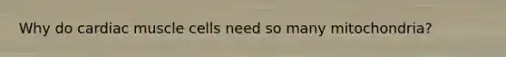 Why do cardiac muscle cells need so many mitochondria?