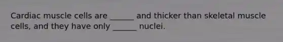 Cardiac muscle cells are ______ and thicker than skeletal muscle cells, and they have only ______ nuclei.