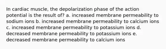 In cardiac muscle, the depolarization phase of the action potential is the result of? a. increased membrane permeability to sodium ions b. increased membrane permeability to calcium ions c. increased membrane permeability to potassium ions d. decreased membrane permeability to potassium ions e. decreased membrane permeability to calcium ions