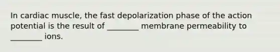 In cardiac muscle, the fast depolarization phase of the action potential is the result of ________ membrane permeability to ________ ions.