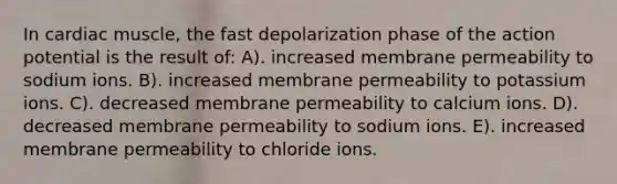 In cardiac muscle, the fast depolarization phase of the action potential is the result of: A). increased membrane permeability to sodium ions. B). increased membrane permeability to potassium ions. C). decreased membrane permeability to calcium ions. D). decreased membrane permeability to sodium ions. E). increased membrane permeability to chloride ions.