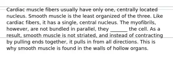 Cardiac muscle fibers usually have only one, centrally located nucleus. Smooth muscle is the least organized of the three. Like cardiac fibers, it has a single, central nucleus. The myofibrils, however, are not bundled in parallel, they _______ the cell. As a result, smooth muscle is not striated, and instead of contracting by pulling ends together, it pulls in from all directions. This is why smooth muscle is found in the walls of hollow organs.