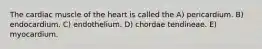 The cardiac muscle of the heart is called the A) pericardium. B) endocardium. C) endothelium. D) chordae tendineae. E) myocardium.