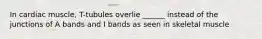 In cardiac muscle, T-tubules overlie ______ instead of the junctions of A bands and I bands as seen in skeletal muscle