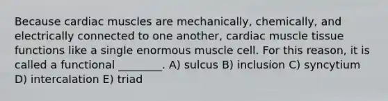 Because cardiac muscles are mechanically, chemically, and electrically connected to one another, cardiac <a href='https://www.questionai.com/knowledge/kMDq0yZc0j-muscle-tissue' class='anchor-knowledge'>muscle tissue</a> functions like a single enormous muscle cell. For this reason, it is called a functional ________. A) sulcus B) inclusion C) syncytium D) intercalation E) triad