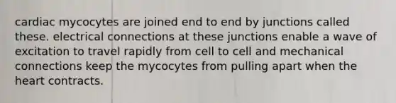 cardiac mycocytes are joined end to end by junctions called these. electrical connections at these junctions enable a wave of excitation to travel rapidly from cell to cell and mechanical connections keep the mycocytes from pulling apart when the heart contracts.