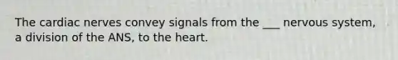 The cardiac nerves convey signals from the ___ <a href='https://www.questionai.com/knowledge/kThdVqrsqy-nervous-system' class='anchor-knowledge'>nervous system</a>, a division of the ANS, to <a href='https://www.questionai.com/knowledge/kya8ocqc6o-the-heart' class='anchor-knowledge'>the heart</a>.