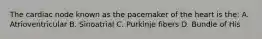 The cardiac node known as the pacemaker of the heart is the: A. Atrioventricular B. Sinoatrial C. Purkinje fibers D. Bundle of His