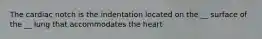 The cardiac notch is the indentation located on the __ surface of the __ lung that accommodates the heart