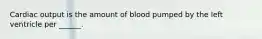 Cardiac output is the amount of blood pumped by the left ventricle per ______.