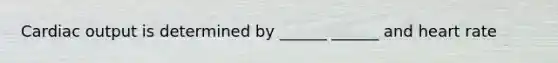 Cardiac output is determined by ______ ______ and heart rate