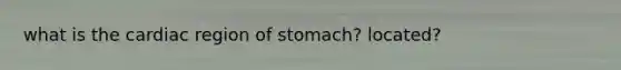 what is the cardiac region of stomach? located?