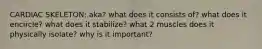 CARDIAC SKELETON: aka? what does it consists of? what does it encircle? what does it stabilize? what 2 muscles does it physically isolate? why is it important?