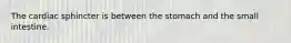 The cardiac sphincter is between the stomach and the small intestine.