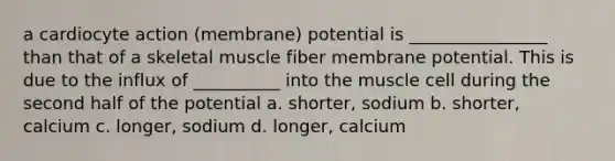 a cardiocyte action (membrane) potential is ________________ than that of a skeletal muscle fiber membrane potential. This is due to the influx of __________ into the muscle cell during the second half of the potential a. shorter, sodium b. shorter, calcium c. longer, sodium d. longer, calcium