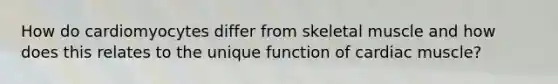 How do cardiomyocytes differ from skeletal muscle and how does this relates to the unique function of cardiac muscle?