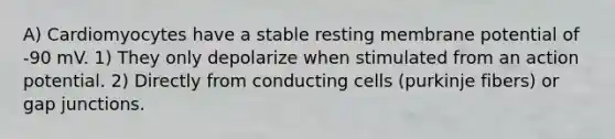 A) Cardiomyocytes have a stable resting membrane potential of -90 mV. 1) They only depolarize when stimulated from an action potential. 2) Directly from conducting cells (purkinje fibers) or gap junctions.