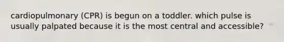 cardiopulmonary (CPR) is begun on a toddler. which pulse is usually palpated because it is the most central and accessible?