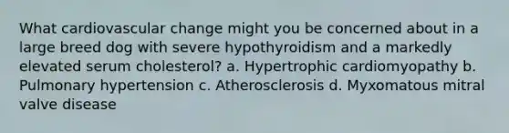 What cardiovascular change might you be concerned about in a large breed dog with severe hypothyroidism and a markedly elevated serum cholesterol? a. Hypertrophic cardiomyopathy b. Pulmonary hypertension c. Atherosclerosis d. Myxomatous mitral valve disease