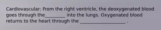 Cardiovascular: From the right ventricle, the deoxygenated blood goes through the_________ into the lungs. Oxygenated blood returns to the heart through the ____________________ .