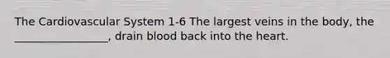 The Cardiovascular System 1-6 The largest veins in the body, the _________________, drain blood back into <a href='https://www.questionai.com/knowledge/kya8ocqc6o-the-heart' class='anchor-knowledge'>the heart</a>.