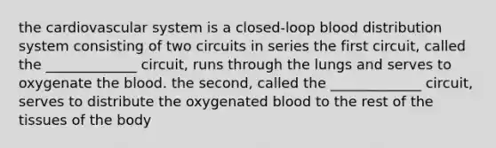 the cardiovascular system is a closed-loop blood distribution system consisting of two circuits in series the first circuit, called the _____________ circuit, runs through the lungs and serves to oxygenate the blood. the second, called the _____________ circuit, serves to distribute the oxygenated blood to the rest of the tissues of the body