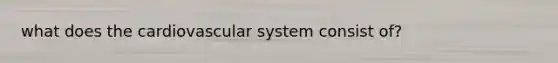 what does the cardiovascular system consist of?