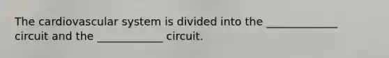 The cardiovascular system is divided into the _____________ circuit and the ____________ circuit.