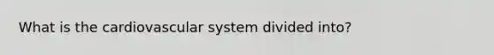 What is the cardiovascular system divided into?