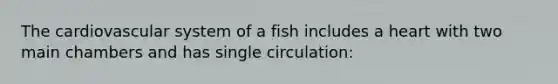 The cardiovascular system of a fish includes a heart with two main chambers and has single circulation: