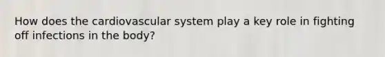 How does the cardiovascular system play a key role in fighting off infections in the body?