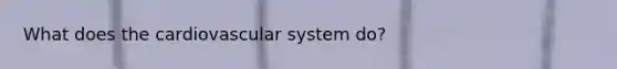 What does the cardiovascular system do?